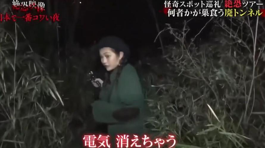 最全攻略，教你如何快速观看《世界恐怖之夜》