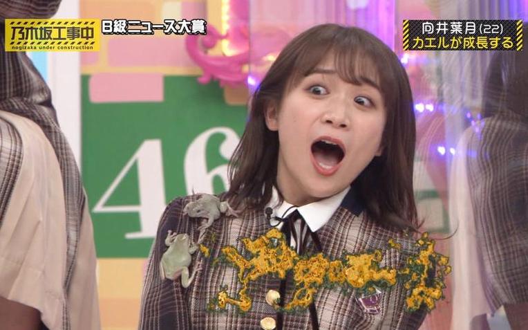 节奏感十足，揭秘日本女子歌手综艺节目舞蹈秘笈
