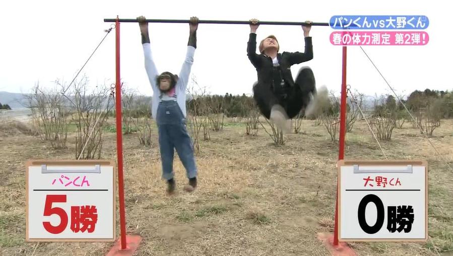 日本的变变变节目，日本奇葩粉丝们的最爱！你也会爱上它
