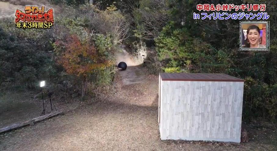 《整人大赏》2021：日本综艺界里的整人大师