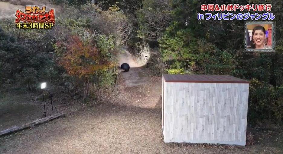 日本女子打架综艺开播，你准备好了吗？