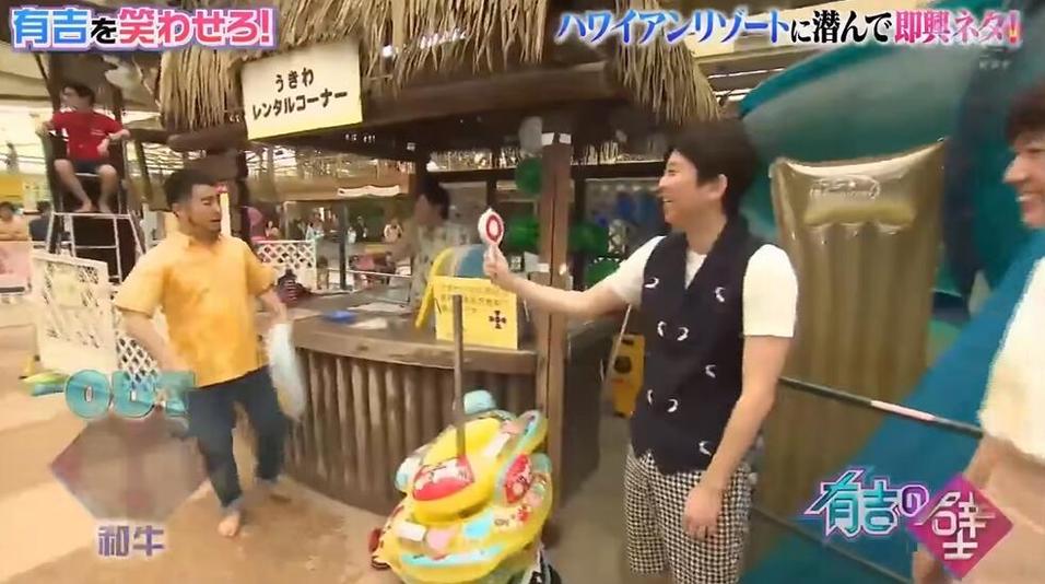 日本TVB真人秀观察节目大揭秘