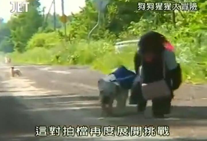 我们都想要出类拔萃，庞庞和詹姆斯选择《狗狗猩猩大冒险》全集来“出彩”