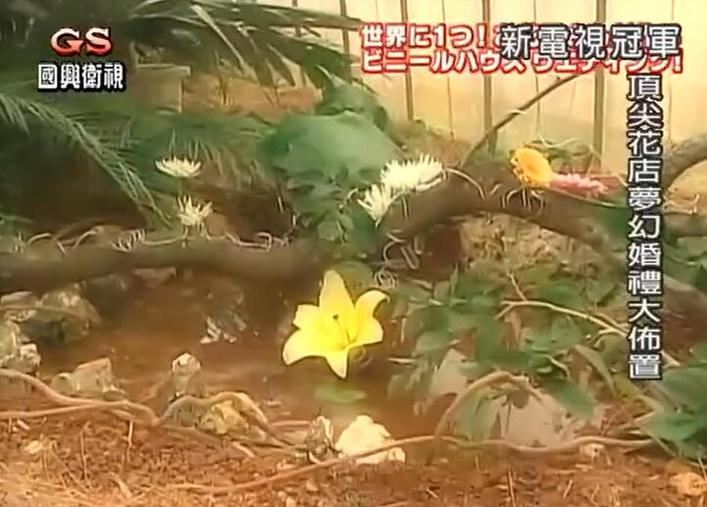 冠军诞生！《电视冠军王》肺活量比赛闪耀星空